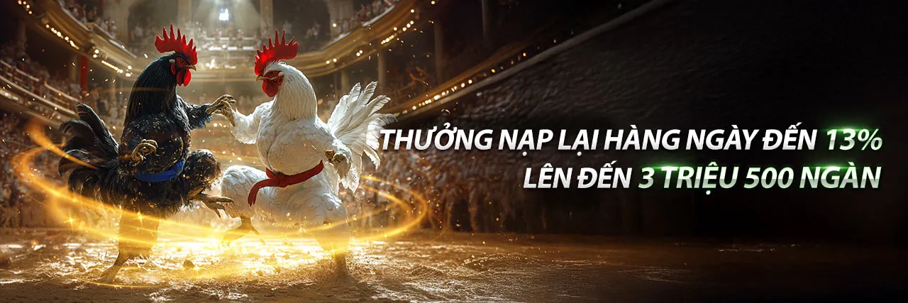 PK8 Khuyến Mãi Hấp Dẫn